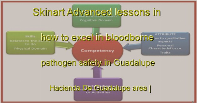 Skinart Advanced lessons in how to excel in bloodborne pathogen safety in Guadalupe  Hacienda De Guadalupe area | BbpTraining | BbpClasses | SkinartTraining-Mexico